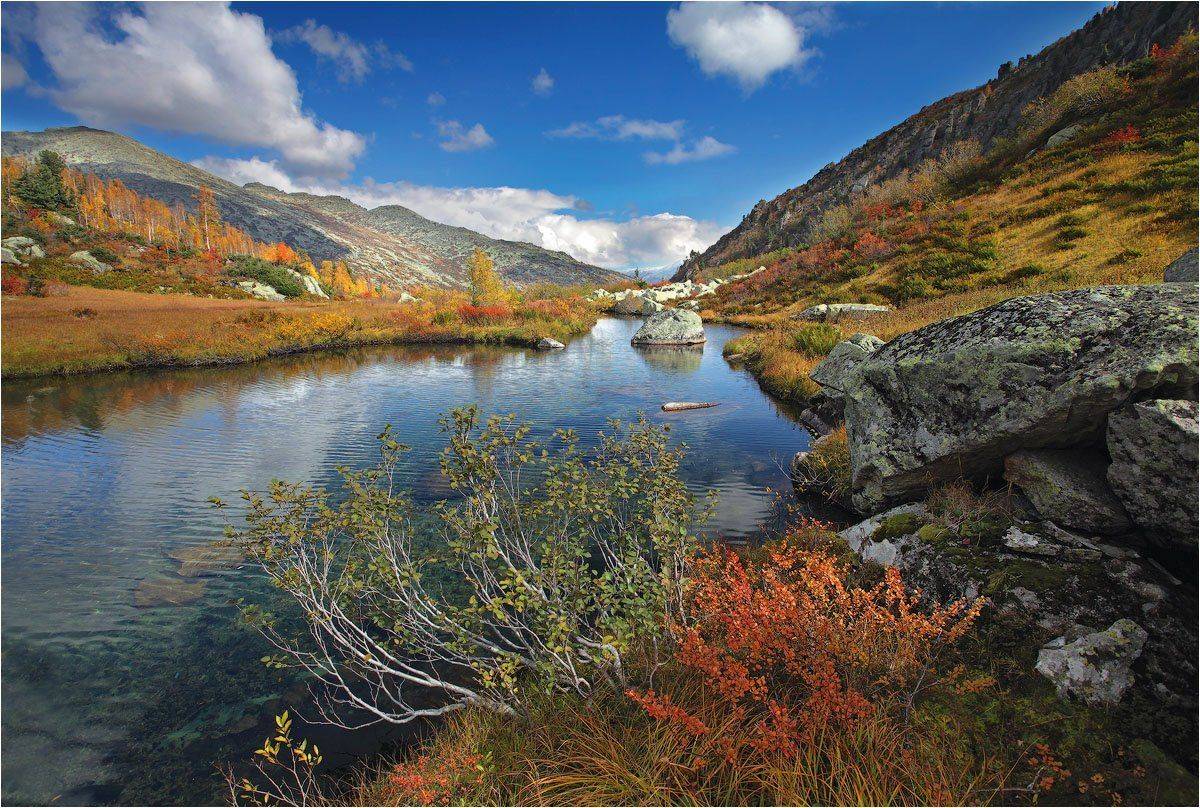 поднебесные, зубья, Александр Устинович