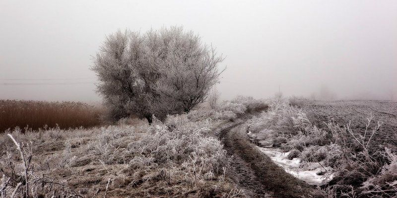 Фрагментальная зима. фото превью