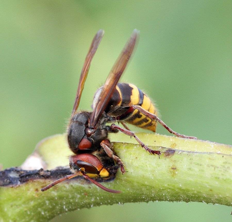 , Сергей Таланов