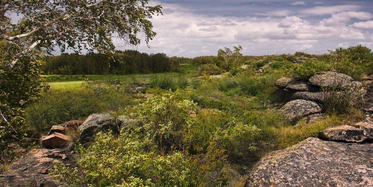 , Андрей Журавлев