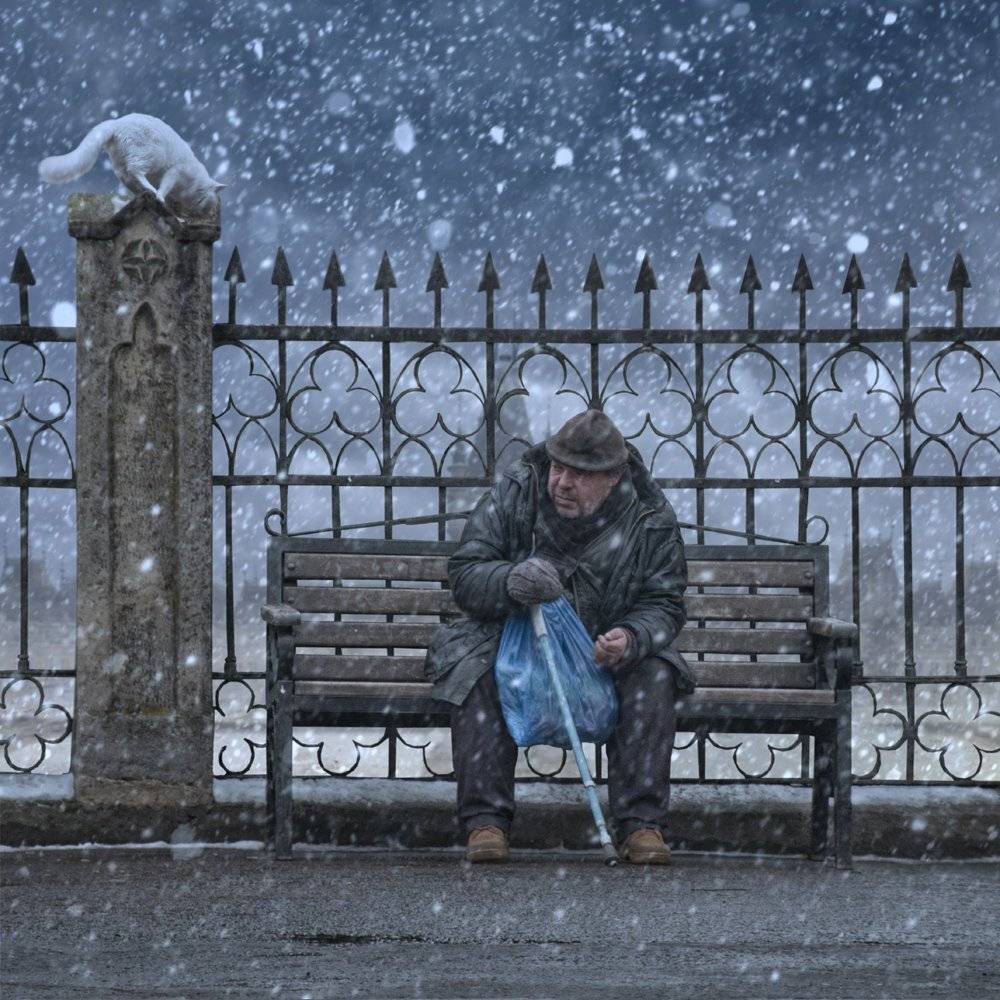 man, cat, old, alone, snowing, light, clouds, hard time, bag, begging, Caras Ionut