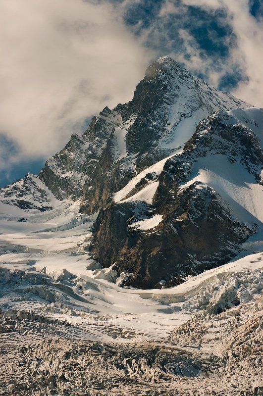 КРАСАВЕЦ ЭРЦОГ! фото превью