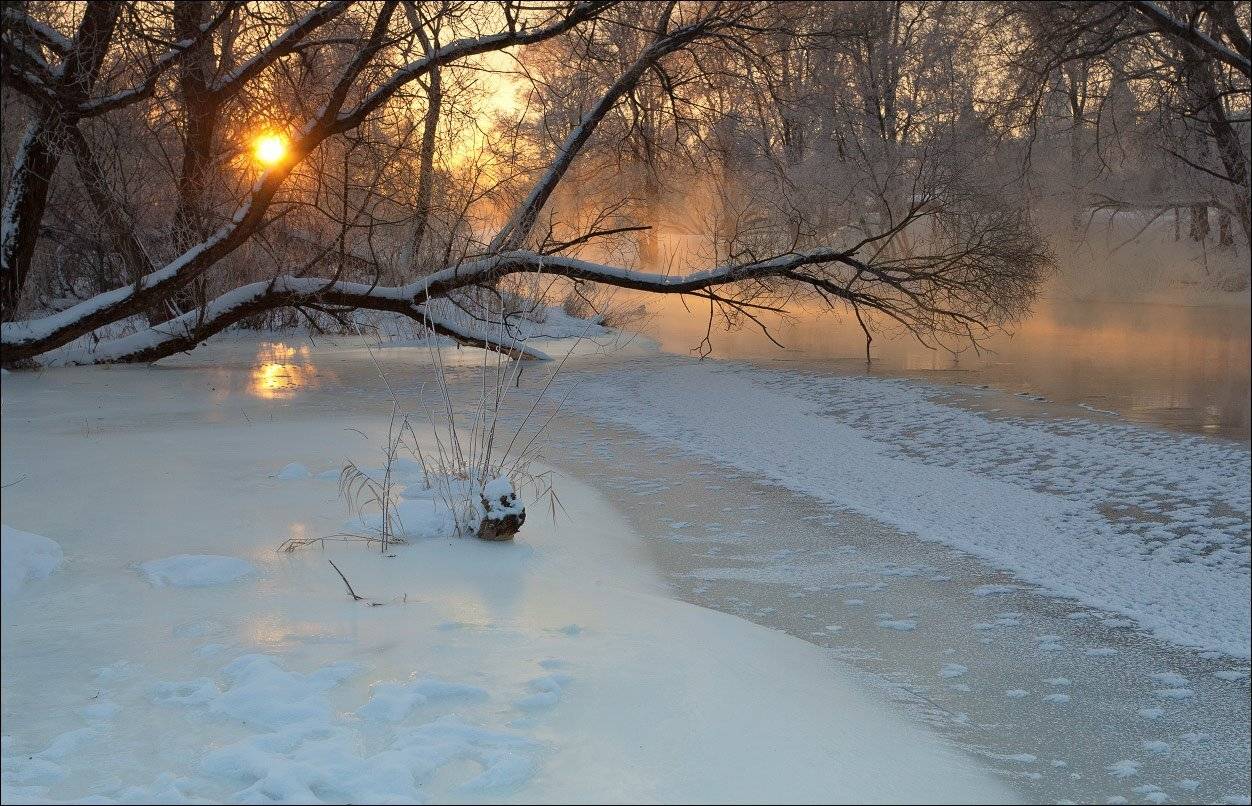 , Андрей Уляшев (Mercand)