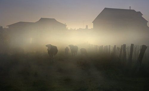 10 фотографий