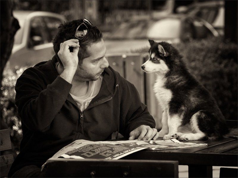 дискуссия фото превью