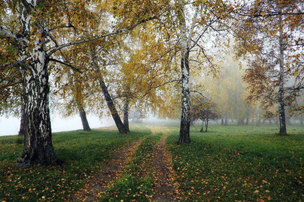 , Николай Морский