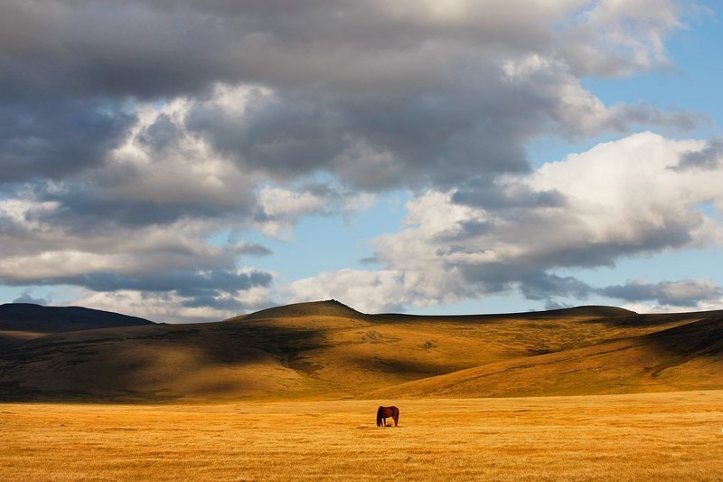 * фото превью