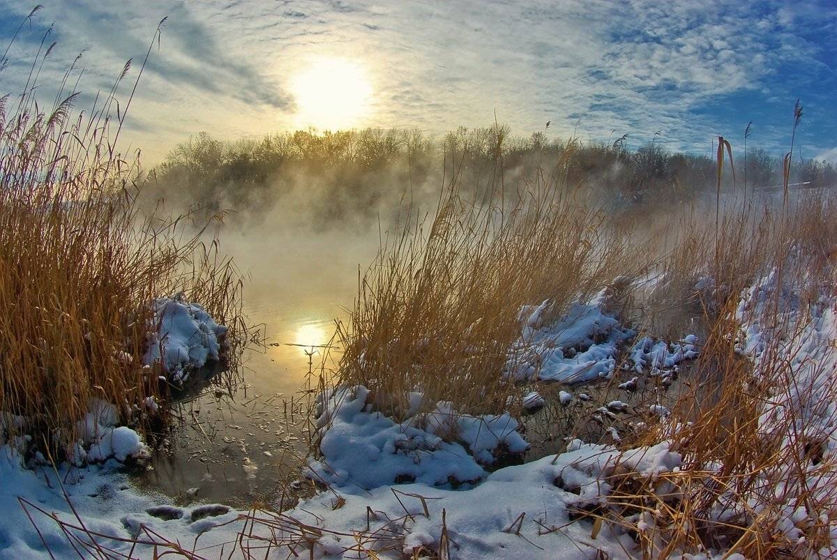 , Игорь Мелекесцев