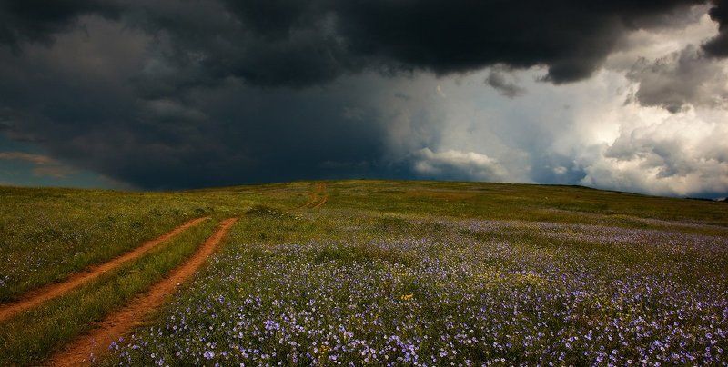Когда цветет украинская степь. фото превью