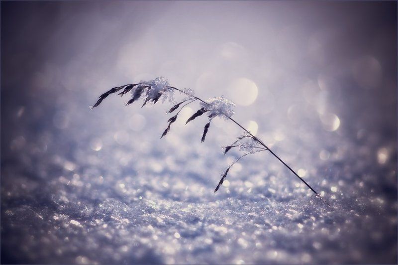 В плену холода и тьмы фото превью