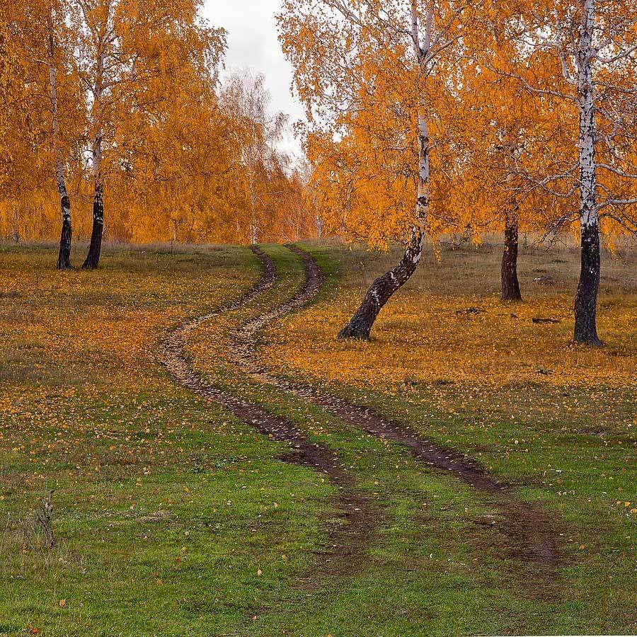 , Качурин Алексей