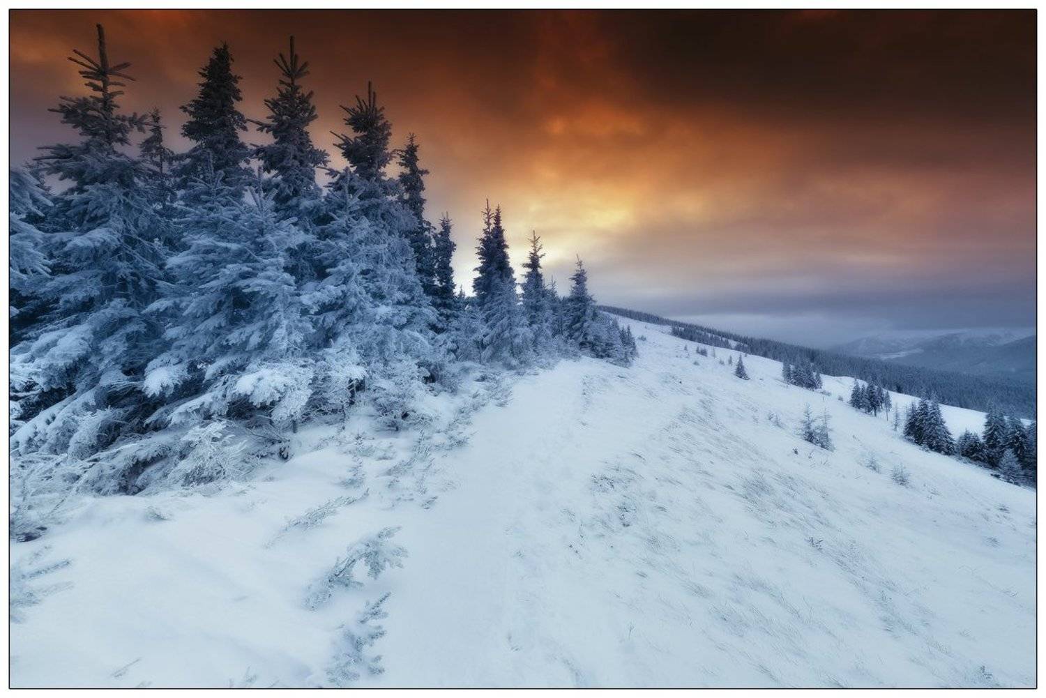 , Денис Кривой