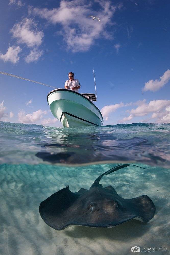 underwater, cayman, Nadya Kulagina