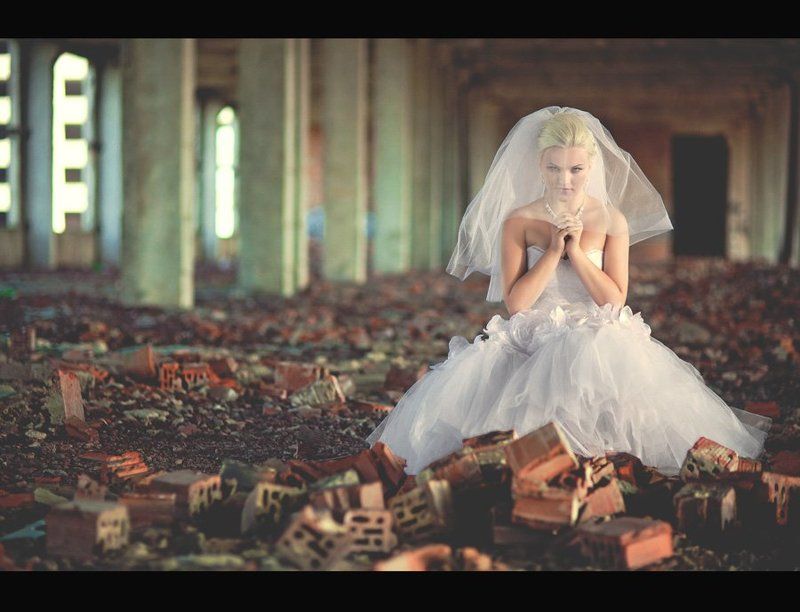 wed wed фото превью