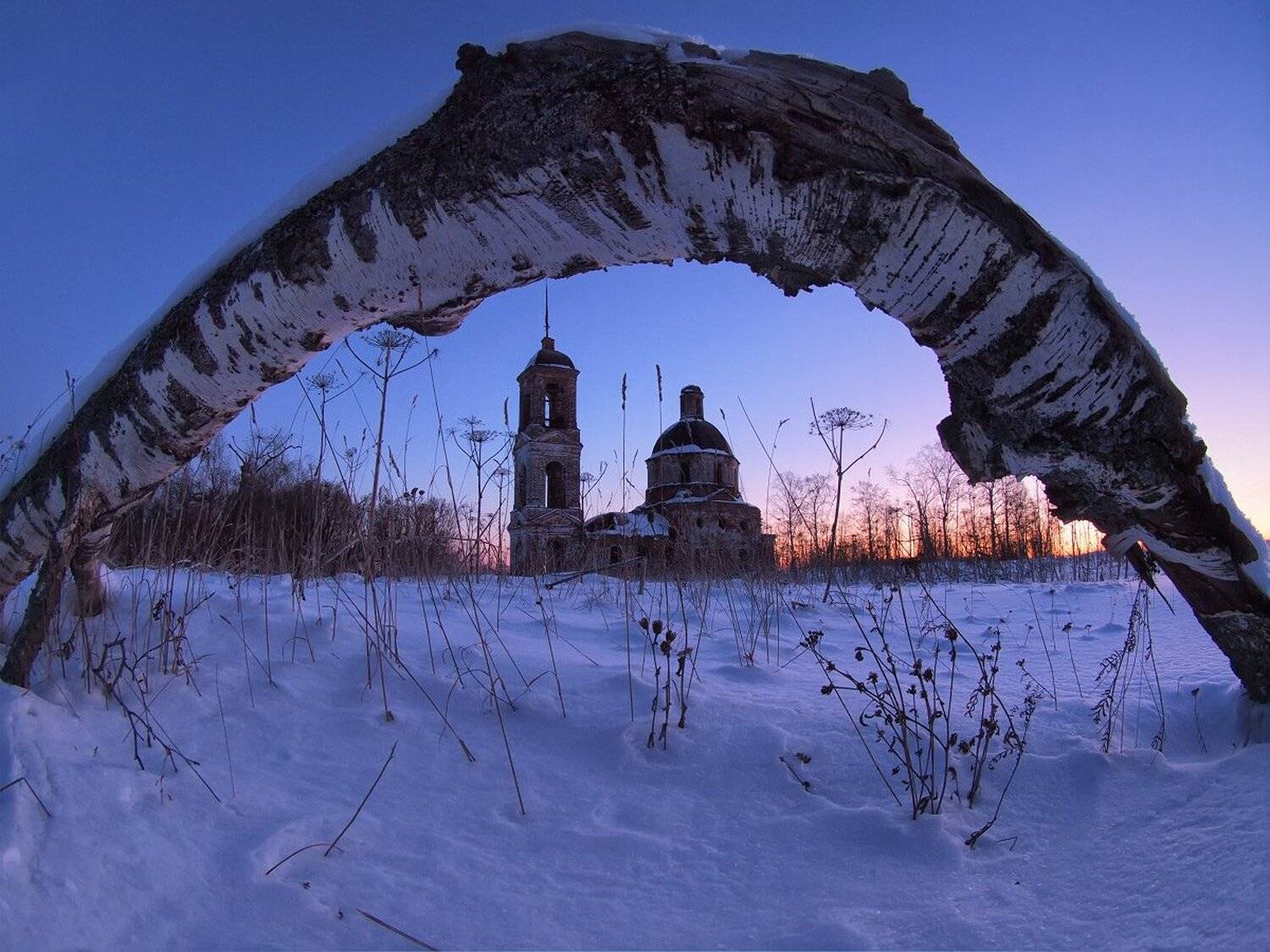 , Максим Евдокимов