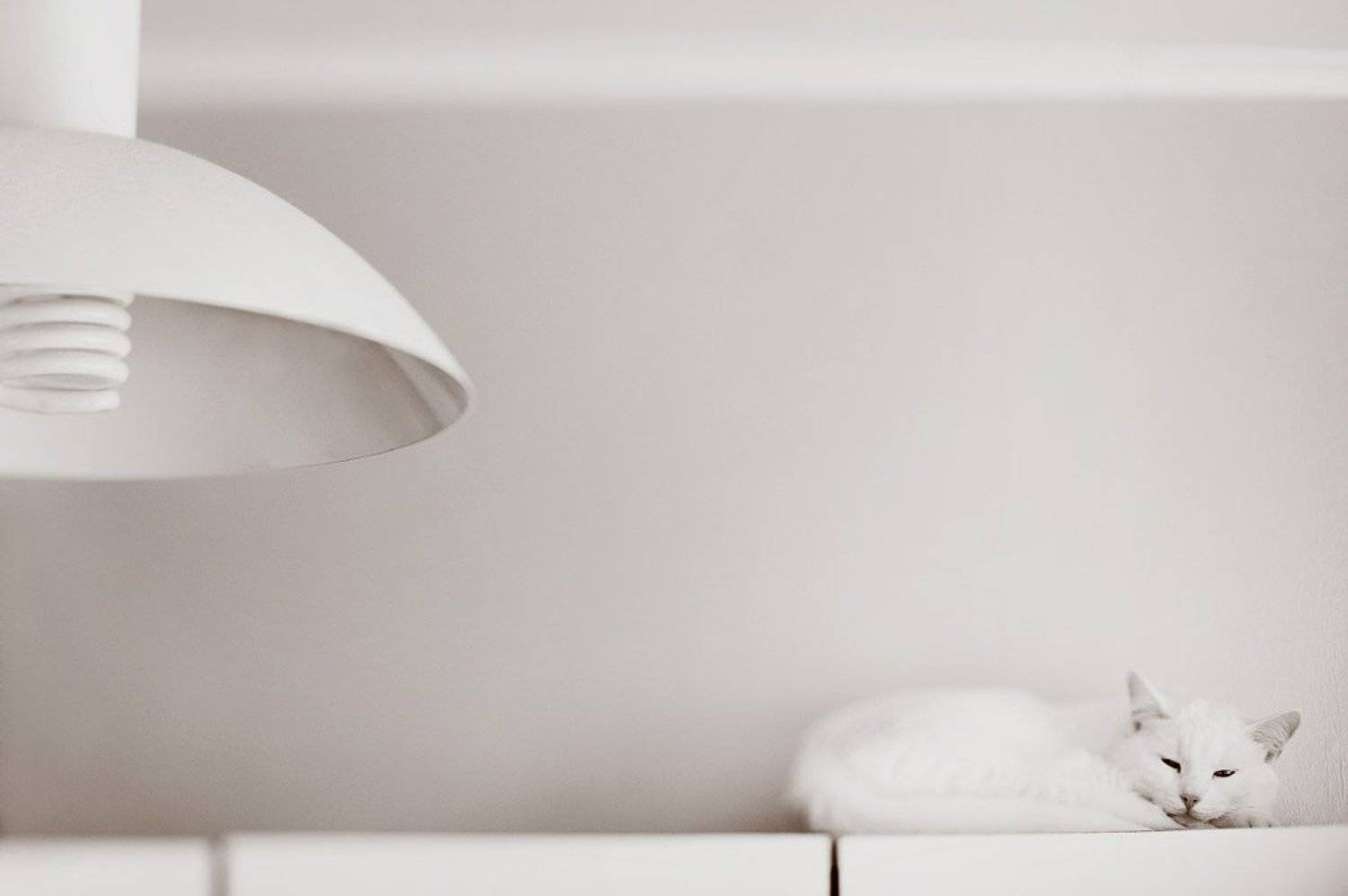 , Пастухова Татьяна