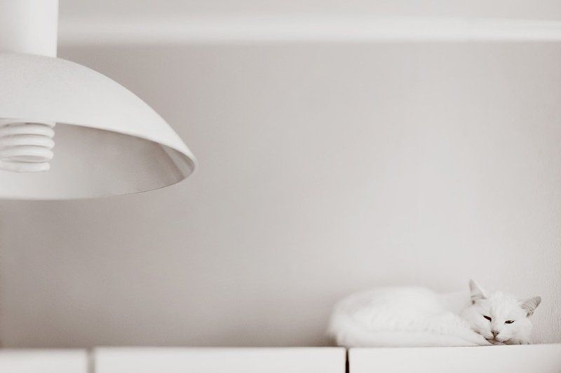 Мак фото превью