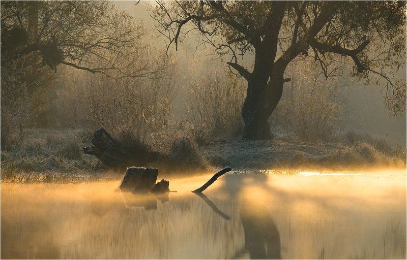 утренняя сказка... фото превью