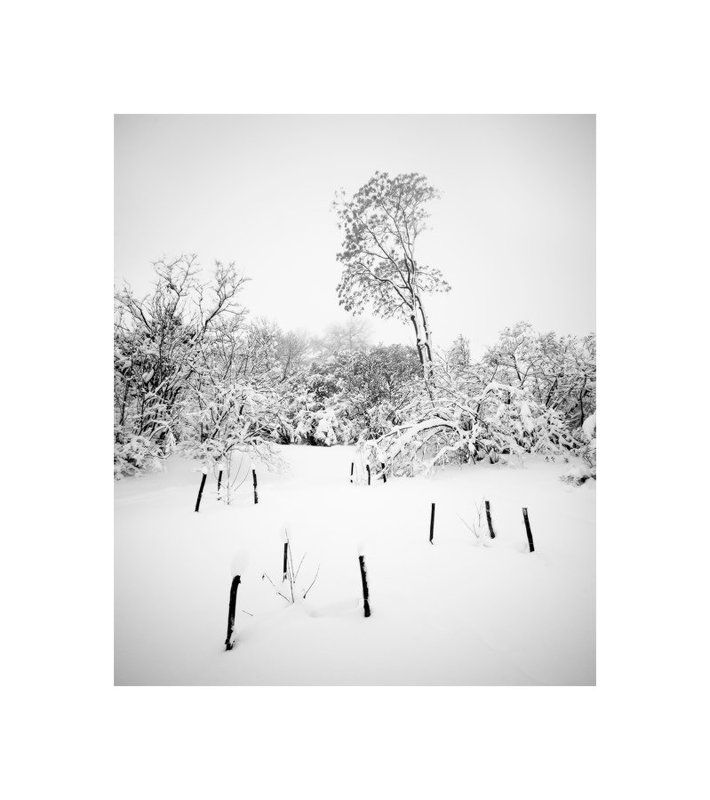 пейзаж, природа, зима, панорама || | | || | | | фото превью