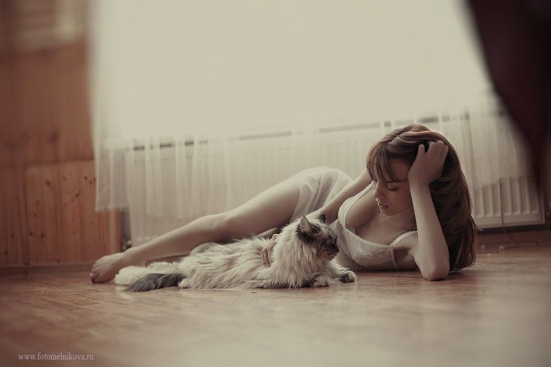 девушка, бьюти, портрет, профессиональное фото, гламур Девушка и кошка. фото превью