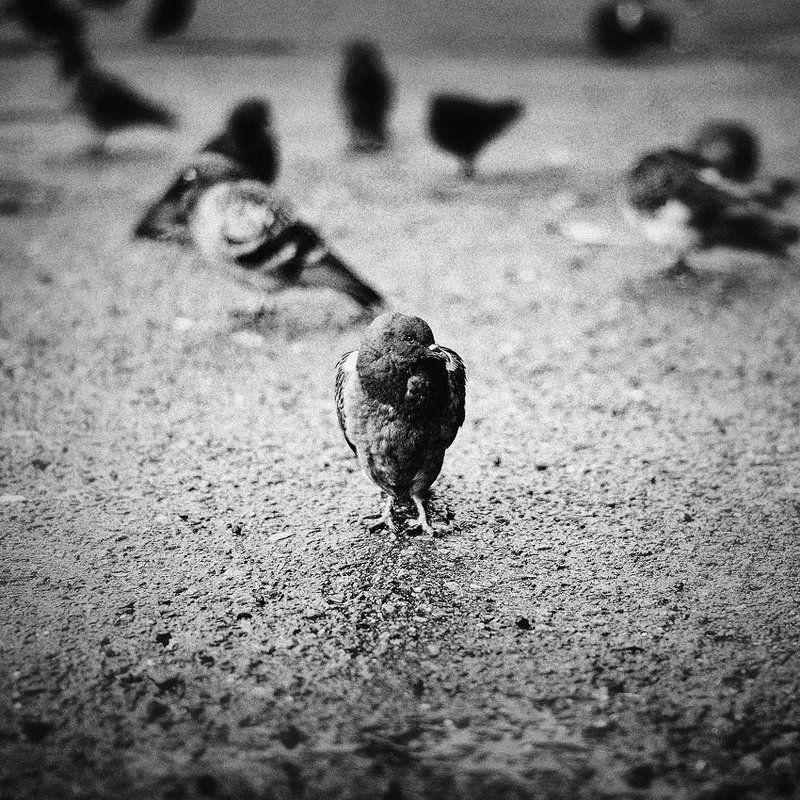 Вселенный замысел фото превью