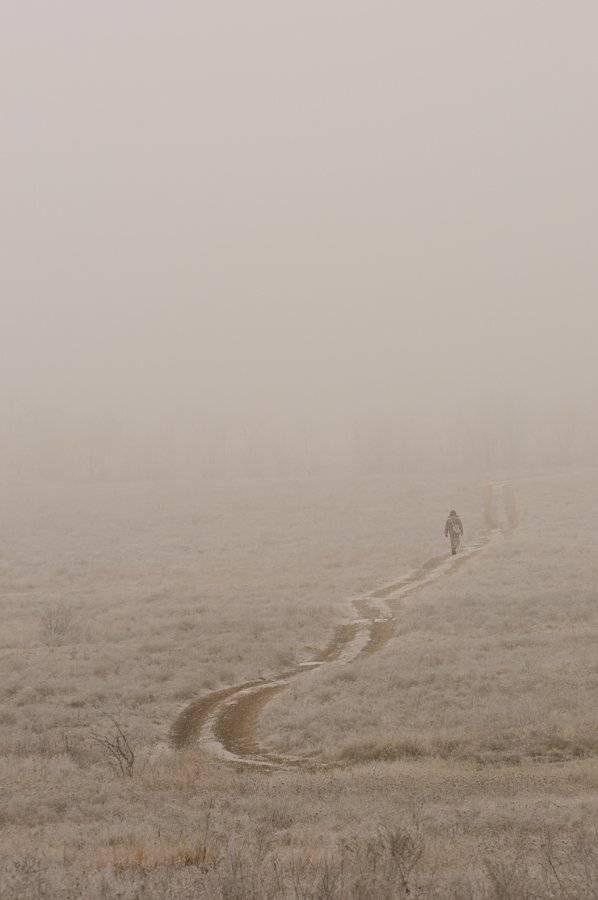 , Дeнис Бoдрoв