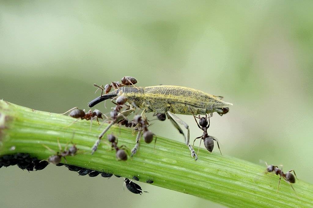, Сергей Таланов