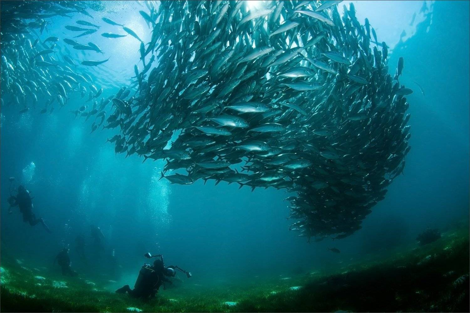 на_фсю_голову, Нетушки