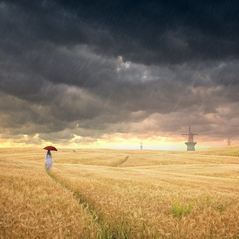 I\'m not afraid to face the rain фото превью