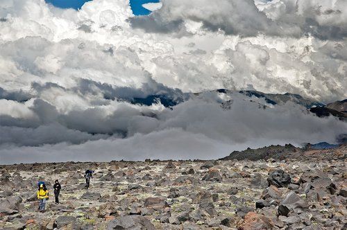 Как перезимовать лето?