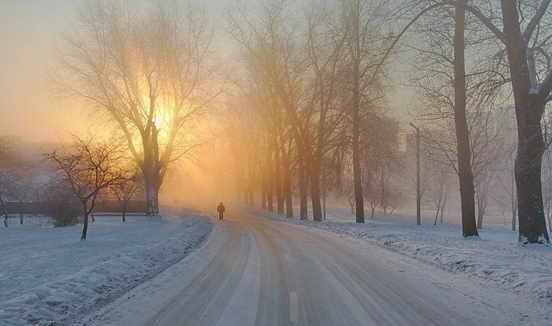 к свету... 2012 фото превью