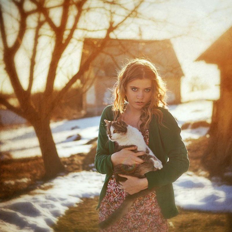 март и кошки фото превью