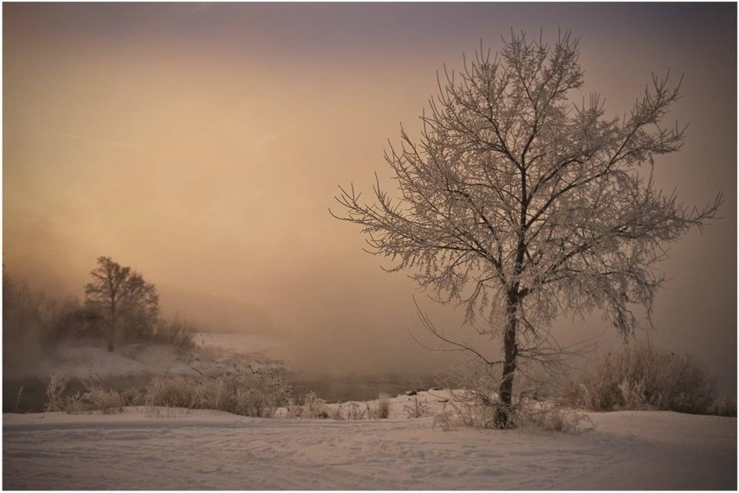 , Андрей Кашлаков