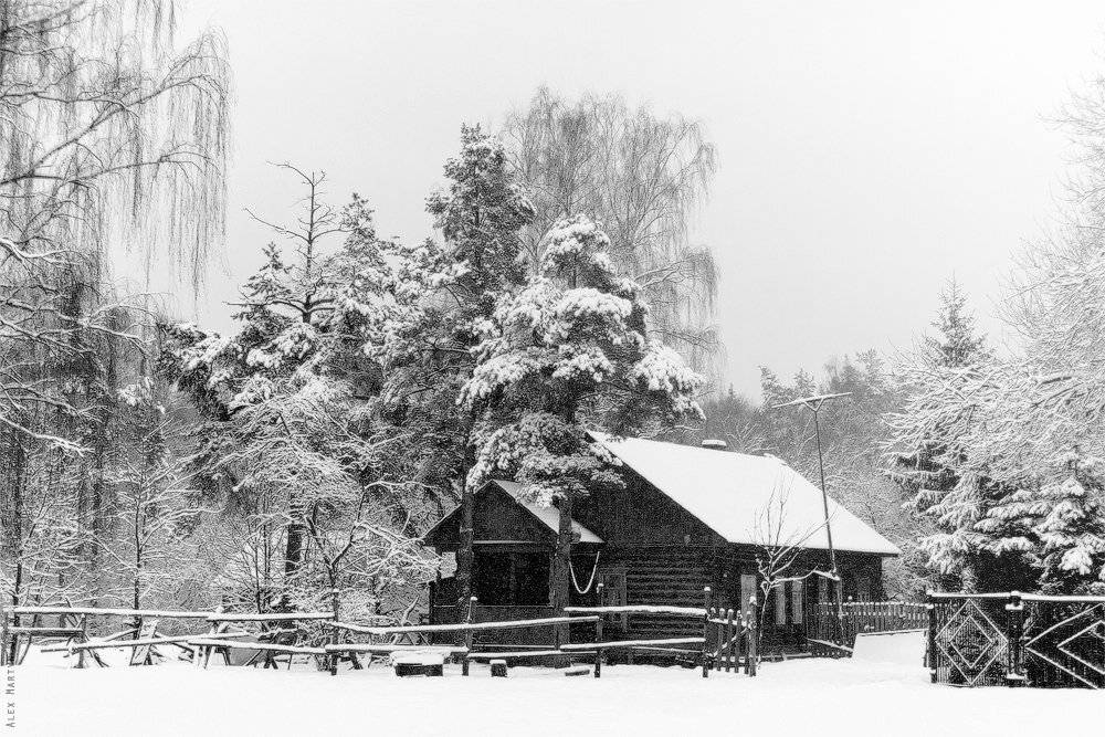 парк, лосиный, остров, изба, зима, снегопад, Alexander Martynov