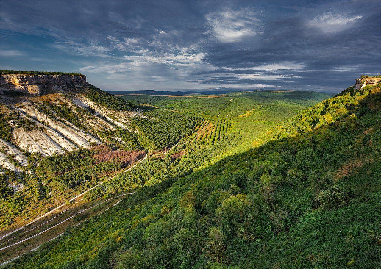 , Александр Аседач
