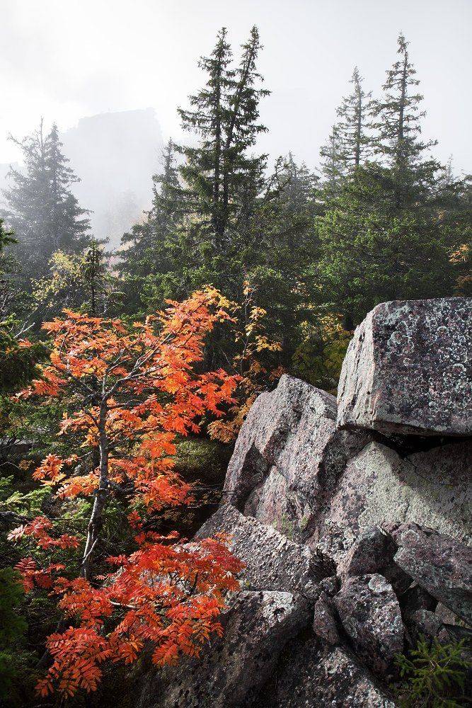 Колчим, Колчимский камень. останцы, Урал, Сергей Макурин