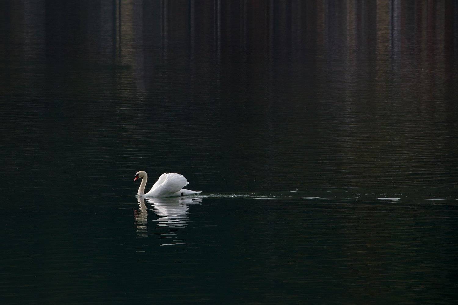 , Игорь Дубровский