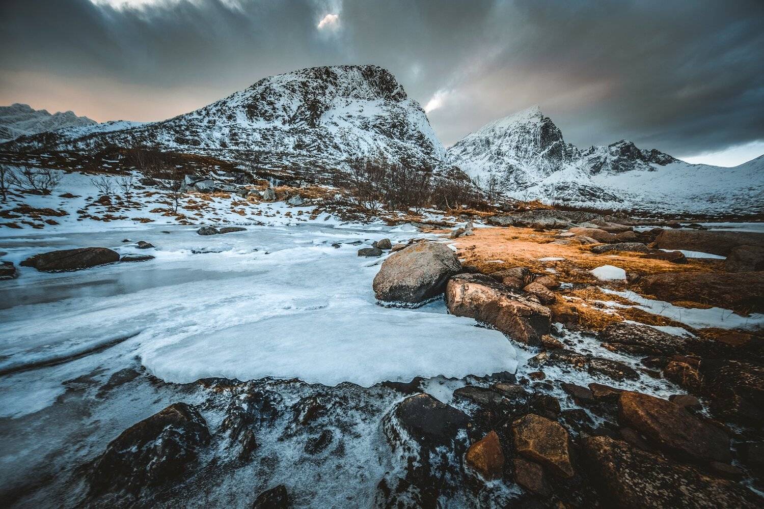 , Тодор Божков