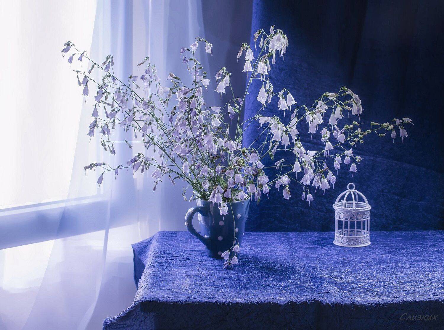 натюрморт,букет,свет, колокольчик, лето, Инаида