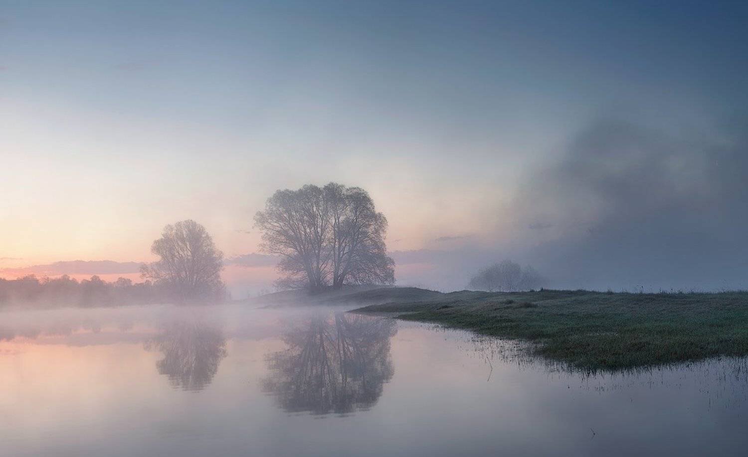 природа утро солнце туман деревья, Михаил Корнилов