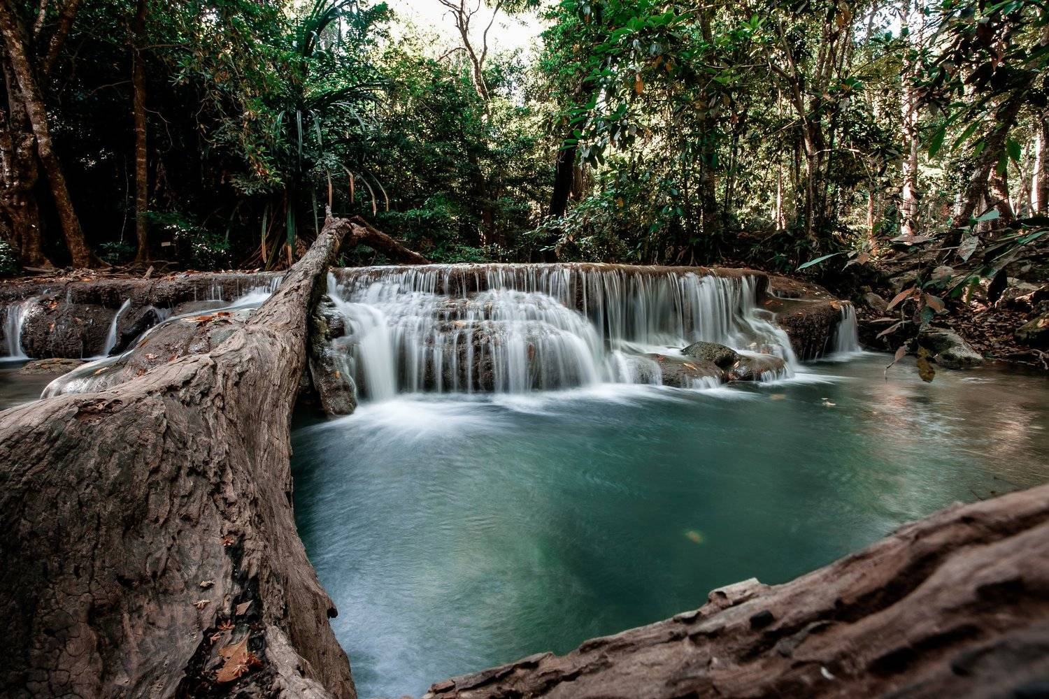 , Дмитрий Галичников