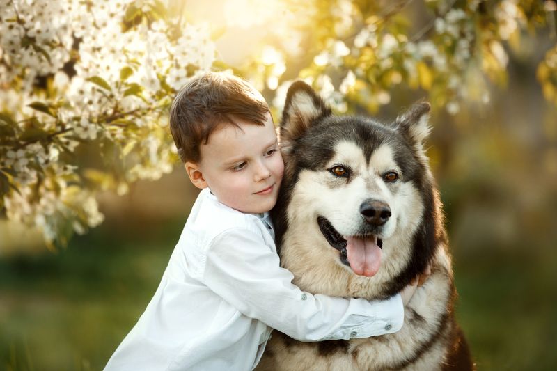 фото превью