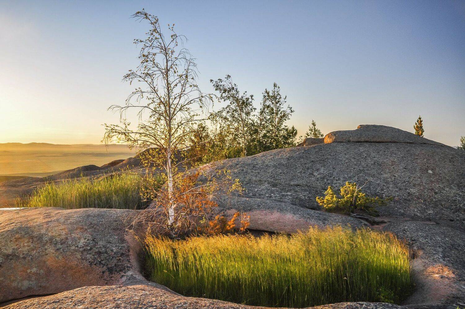 , Евгений Дроботенко