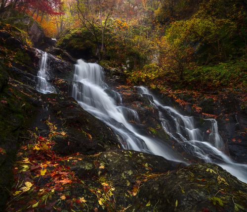 Autumn in Vitosha Mountain