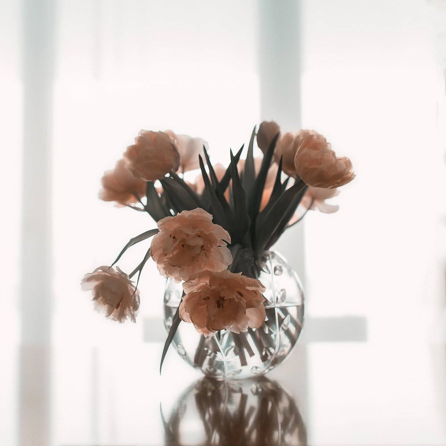 , Desislava Kuleshova