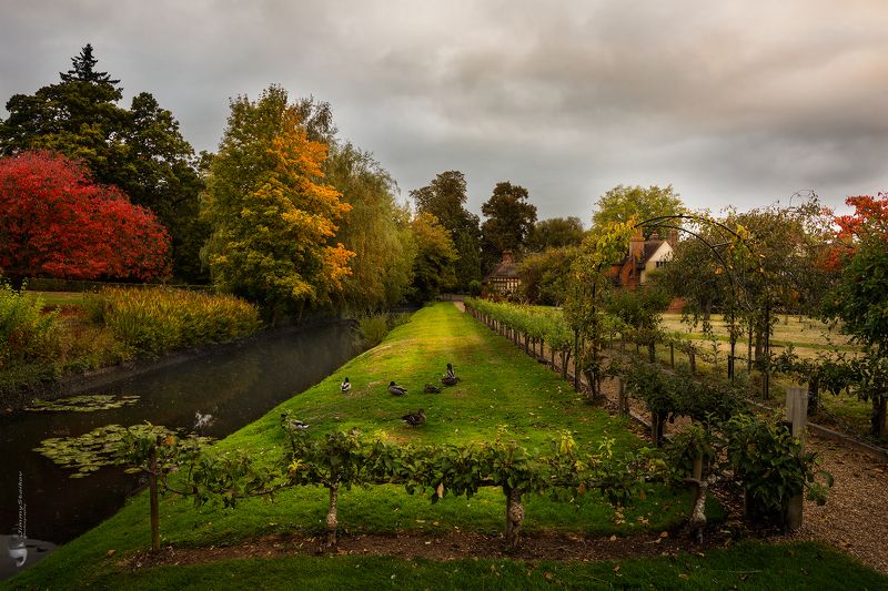 *** фото превью