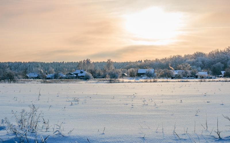 зима, деревня, лес, мороз, иней  фото превью