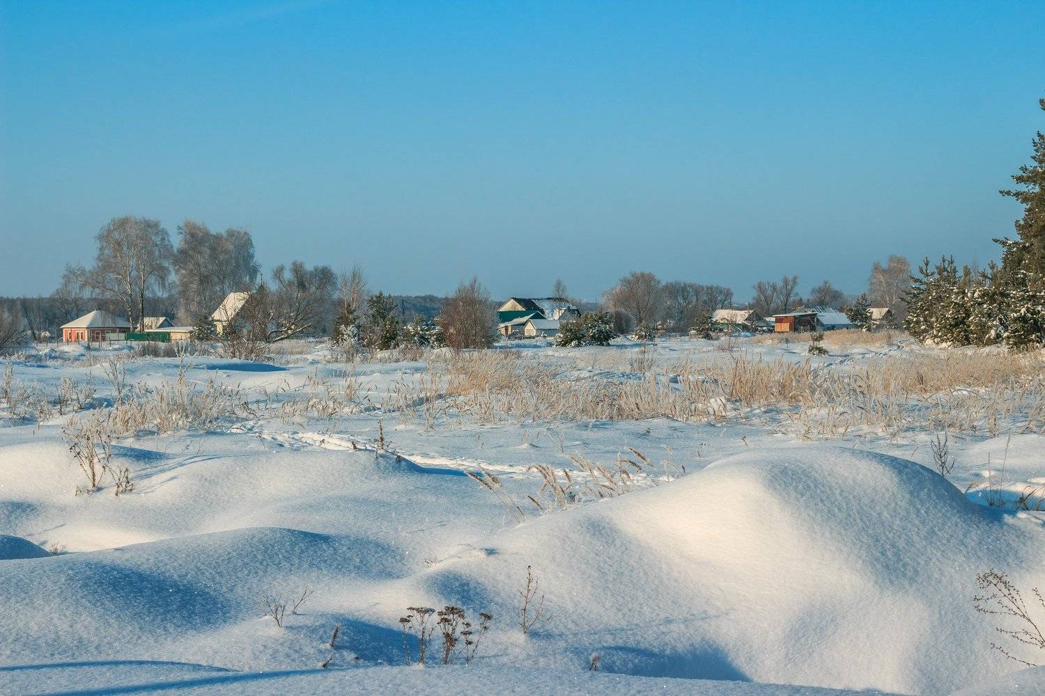 зима, деревня, иней, мороз, Руслан Востриков