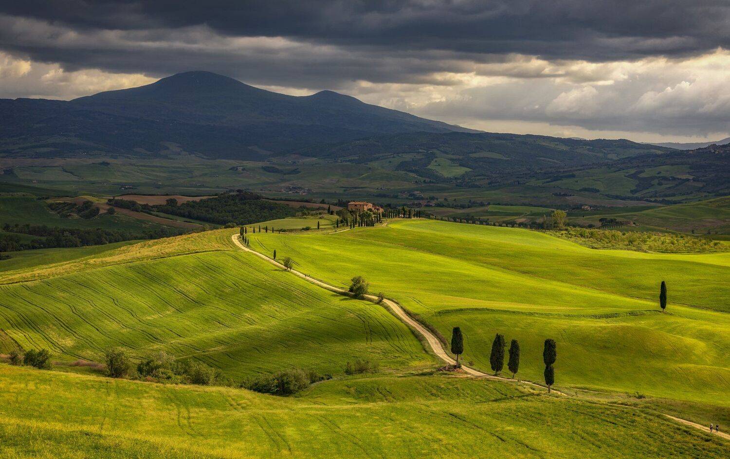 италия, тоскана, поля, Александр Безмолитвенный