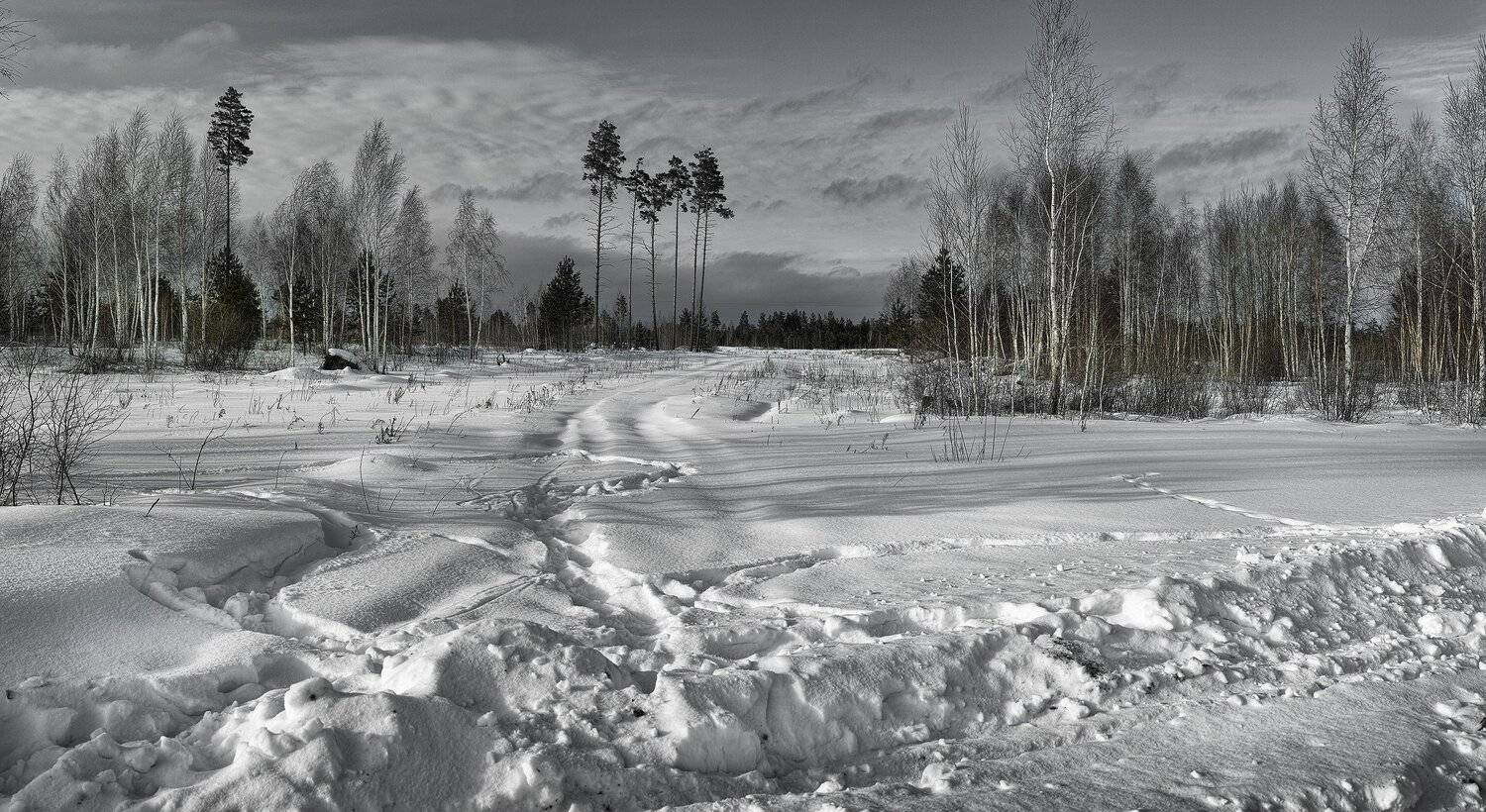 , Бусыгин Борис